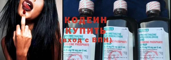 хмурый Ельня